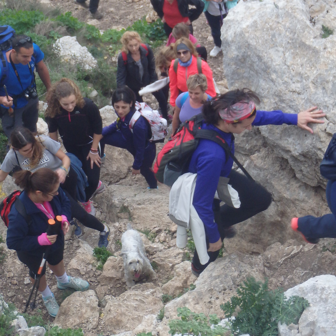 Trekking Trekking