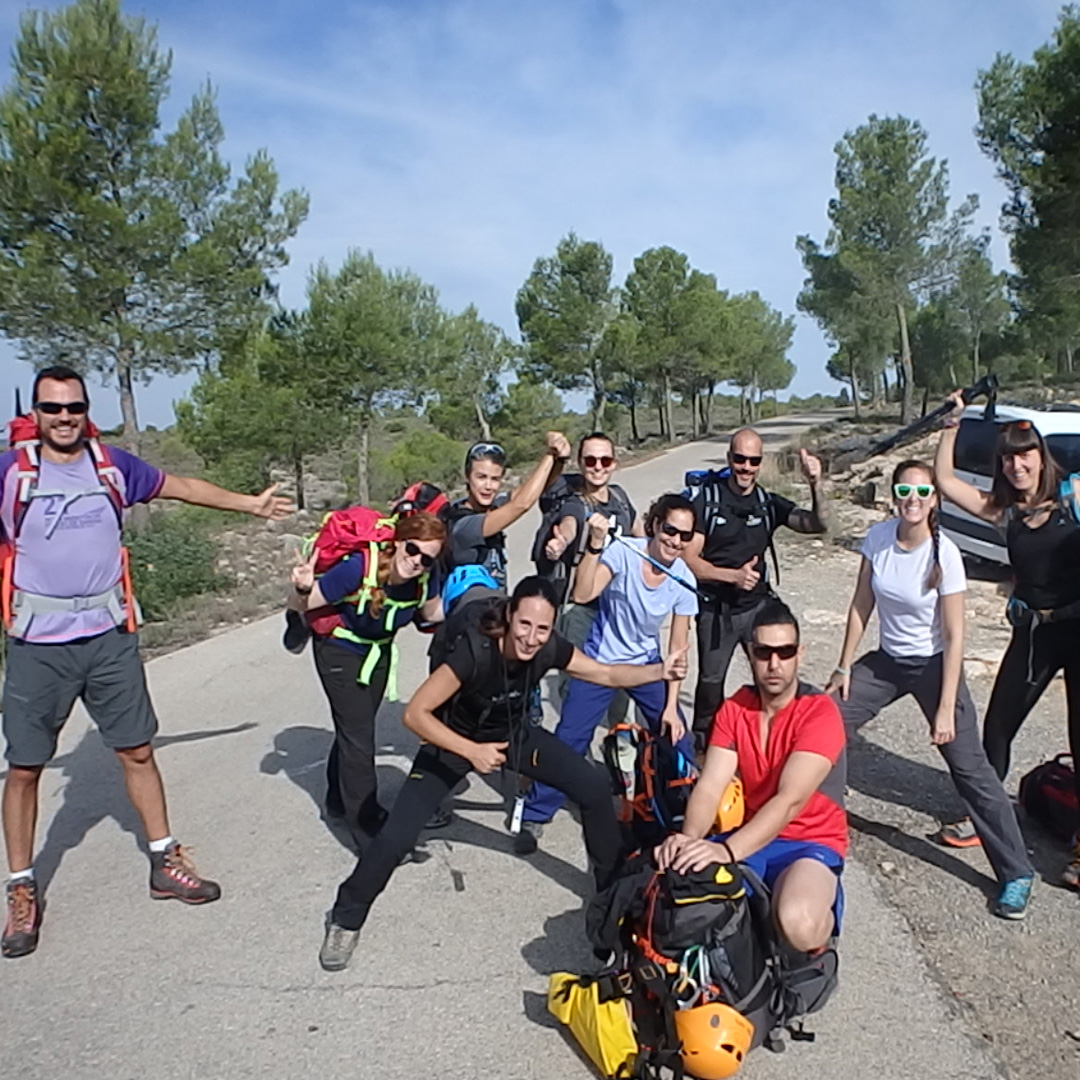 grupo tous grupo tous