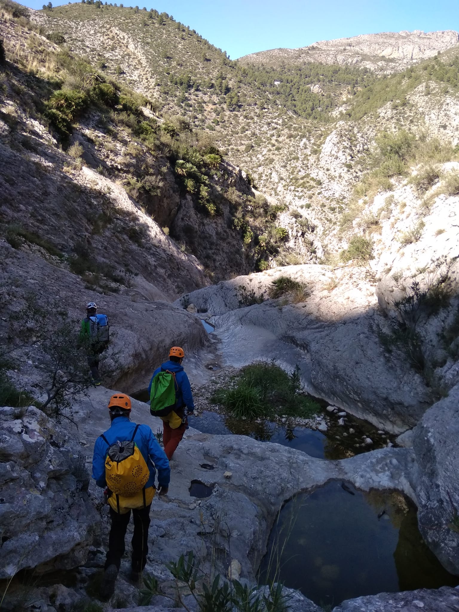 IMG-20191116-WA0024 IMG-20191116-WA0024