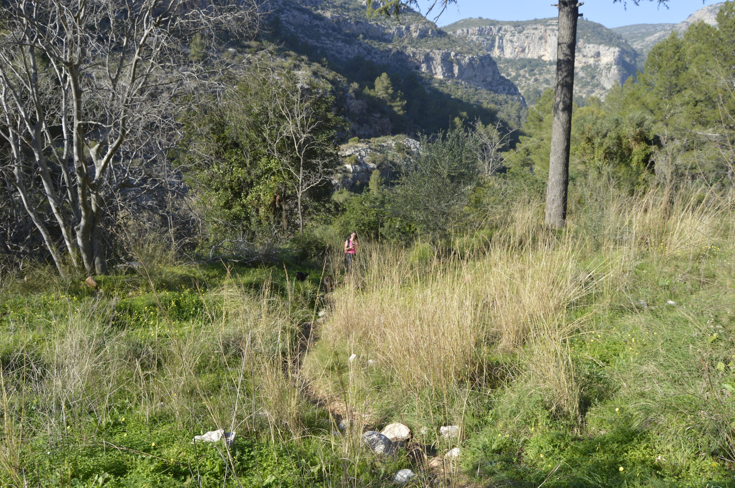 Ruta Circular por les Fonts de la Safor Ruta Circular por les Fonts de la Safor