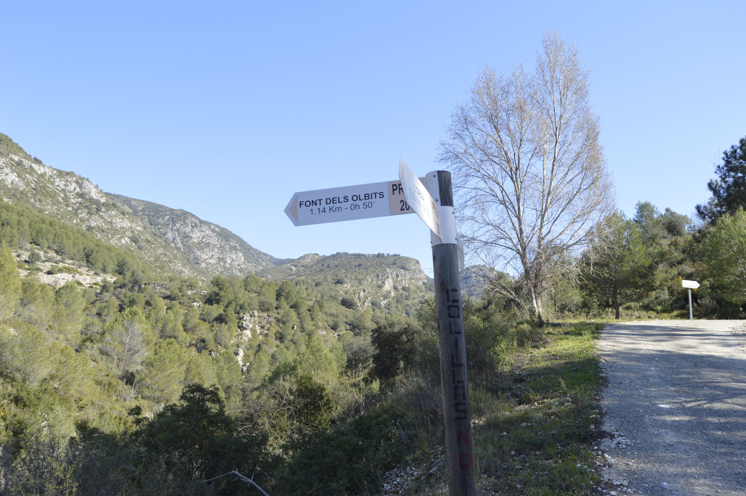 Font dels olbits en Ruta circular Les Fonts de la Safor Font dels olbits en Ruta circular Les Fonts de la Safor