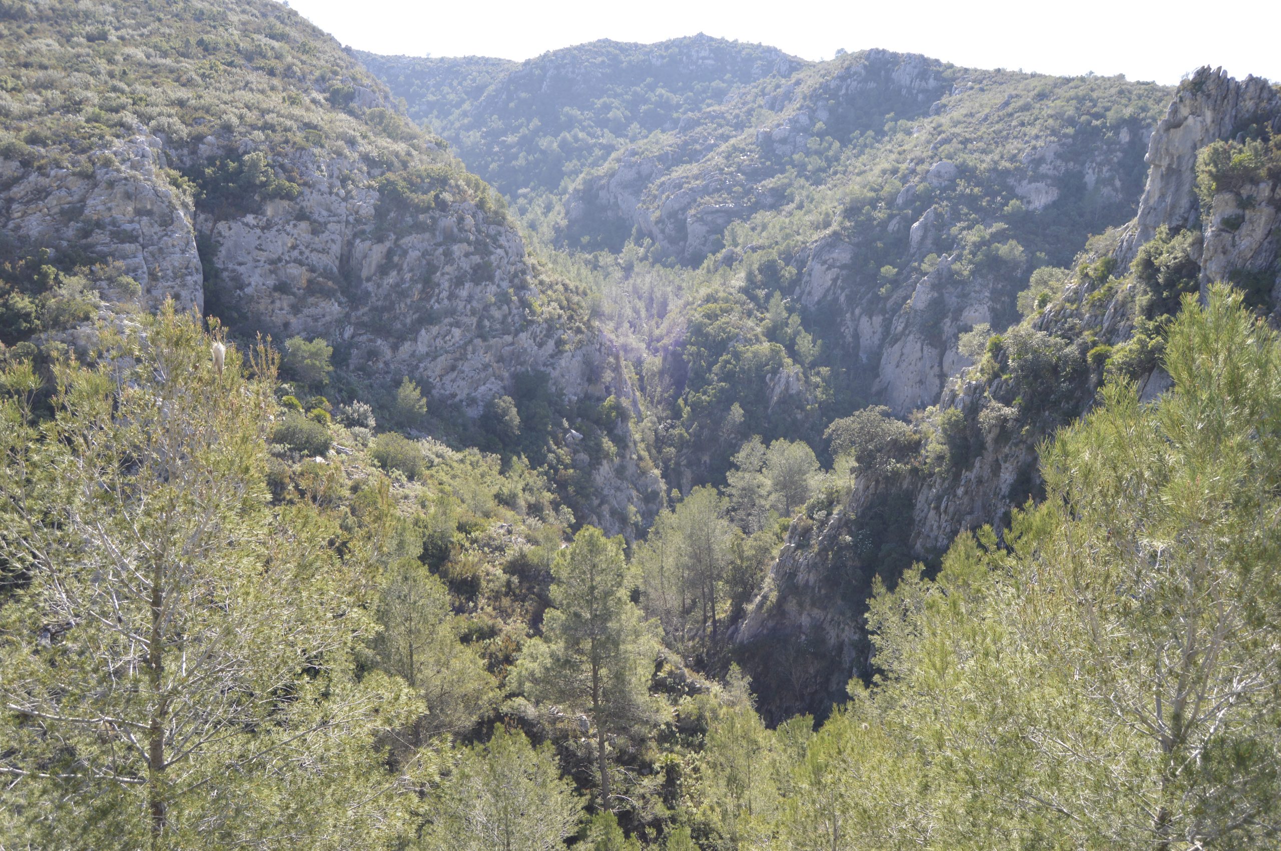 Ruta de les Fonts de la Safor Ruta de les Fonts de la Safor