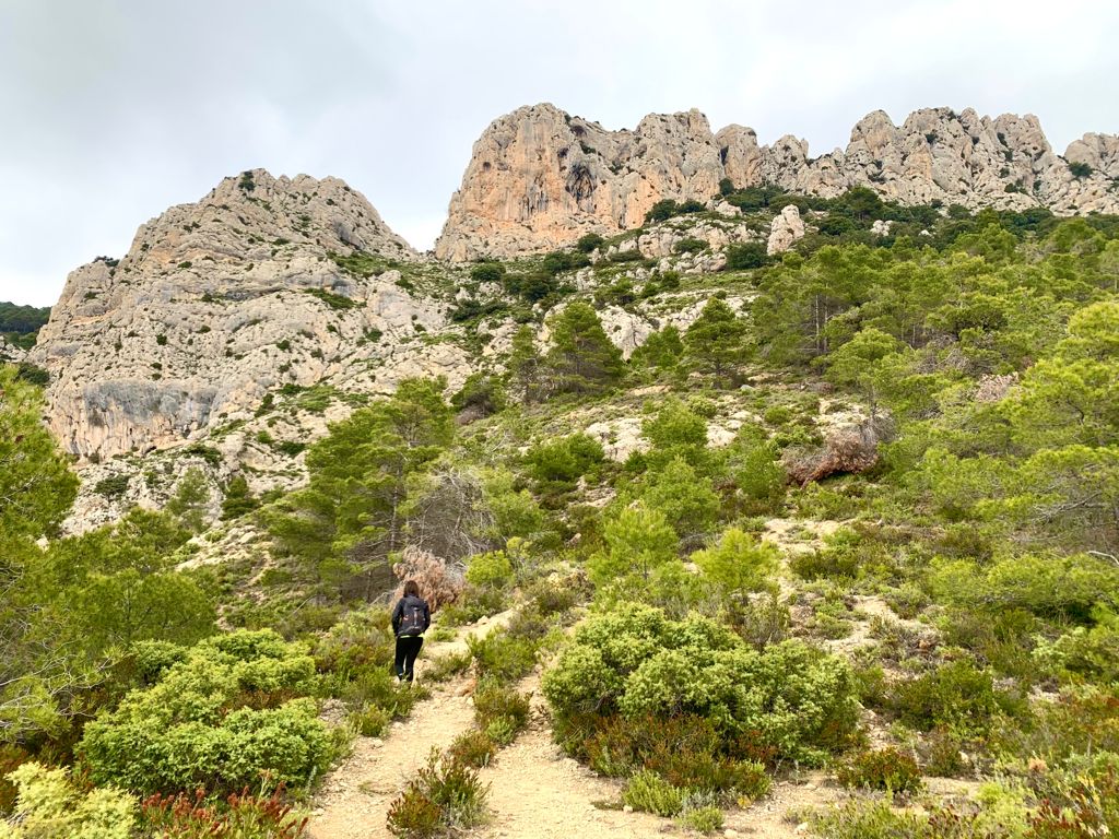 Cova del Pinar Cova del Pinar