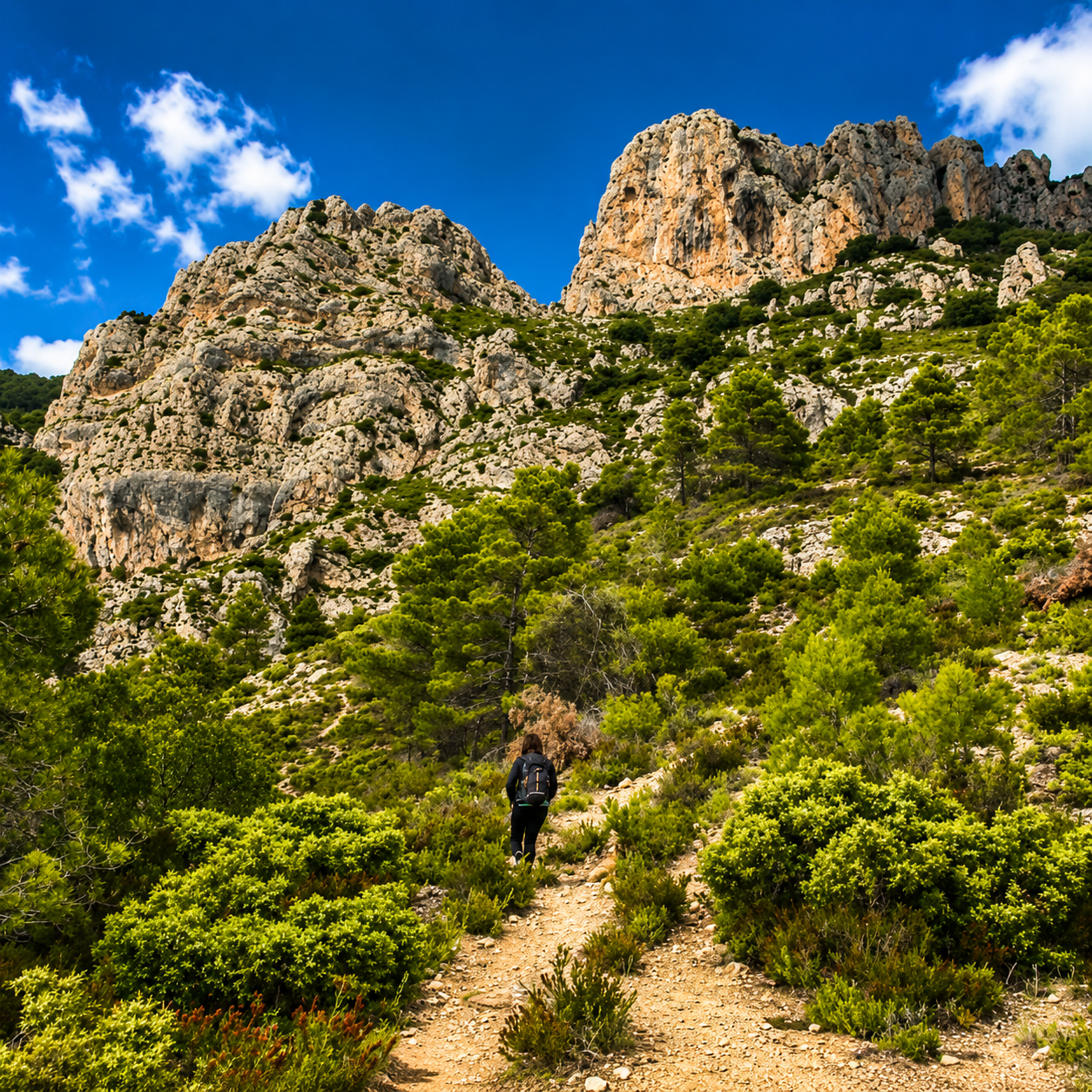 Aproximación al Barranco Cueva del Pinar