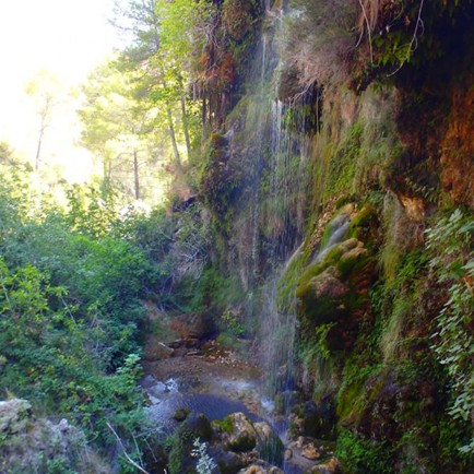 Cómo ajustar la actividad según el caudal